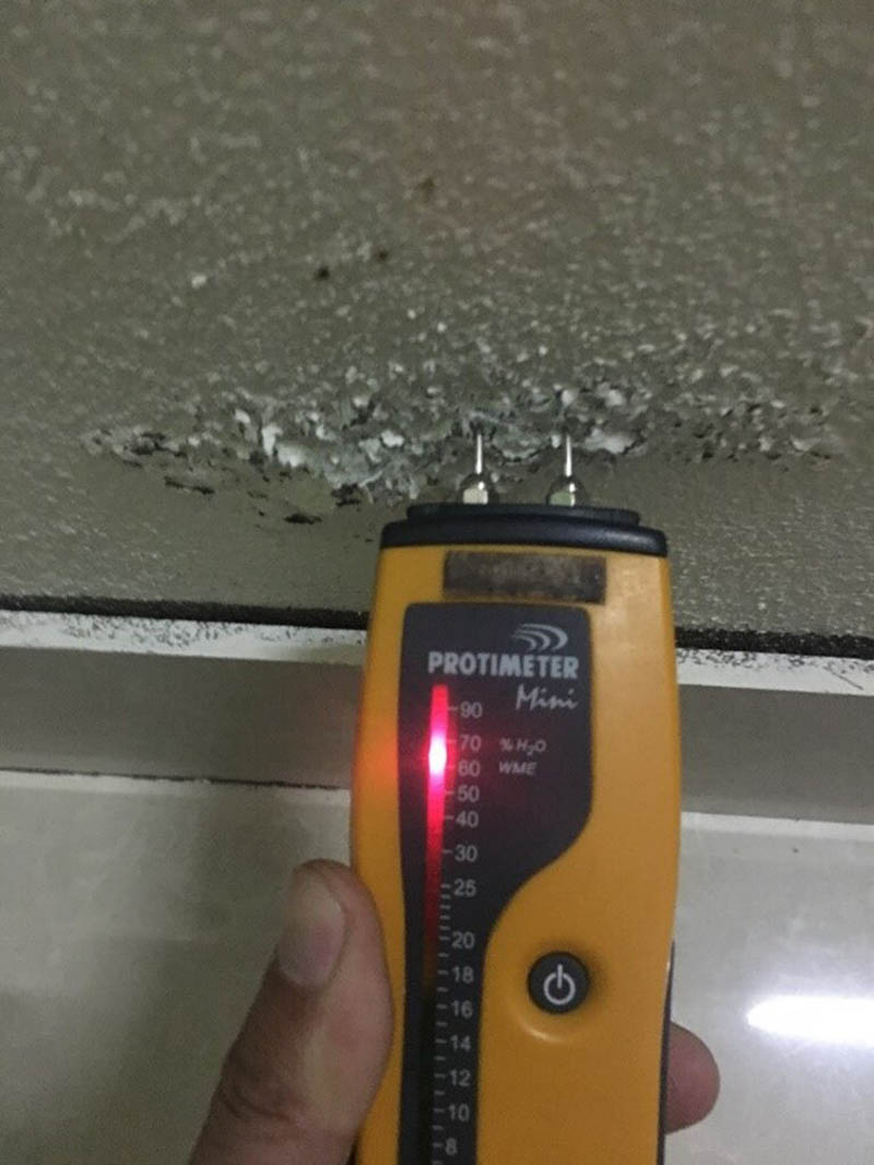 Máy đo độ ẩm tường nhà